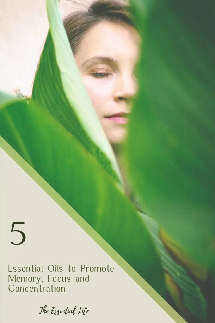 5 Essential Oils to Promote Memory, Focus and Concentration_ The Essential Life.jpg