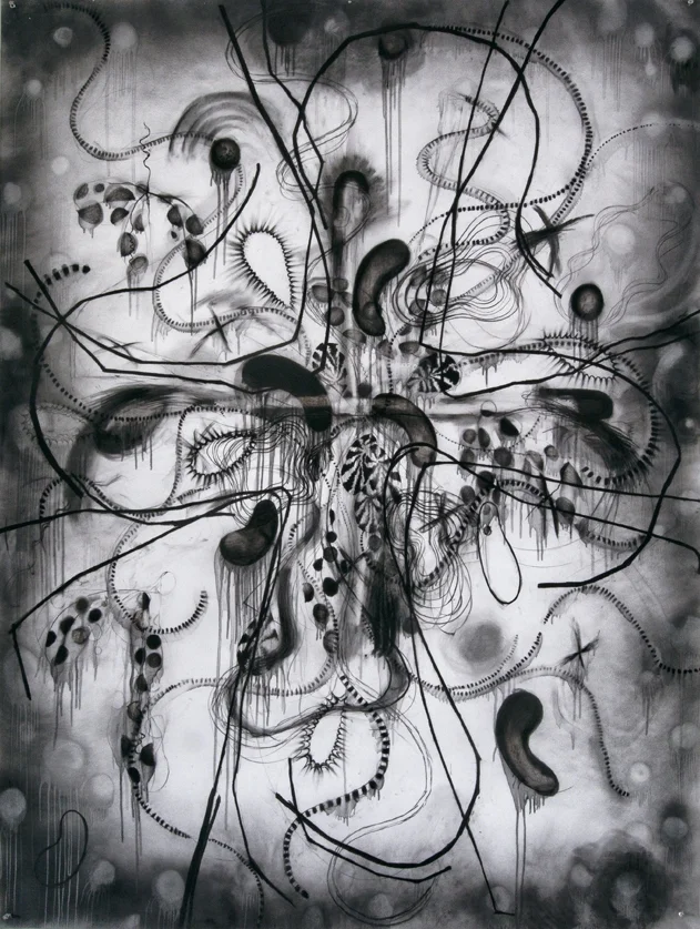 untitled | 2015charcoal on paper200 x 150 cm