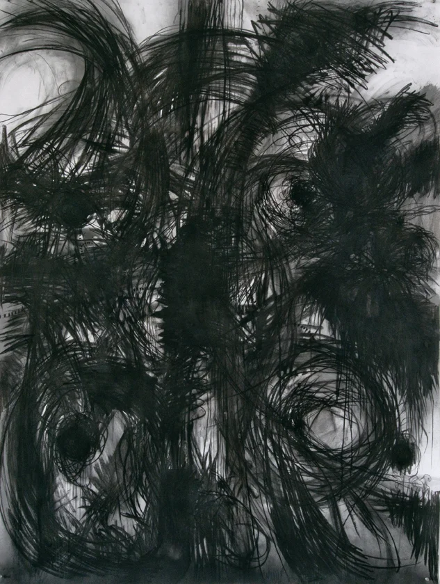 untitled |&nbsp;2015charcoal on paper200 x 150 cm