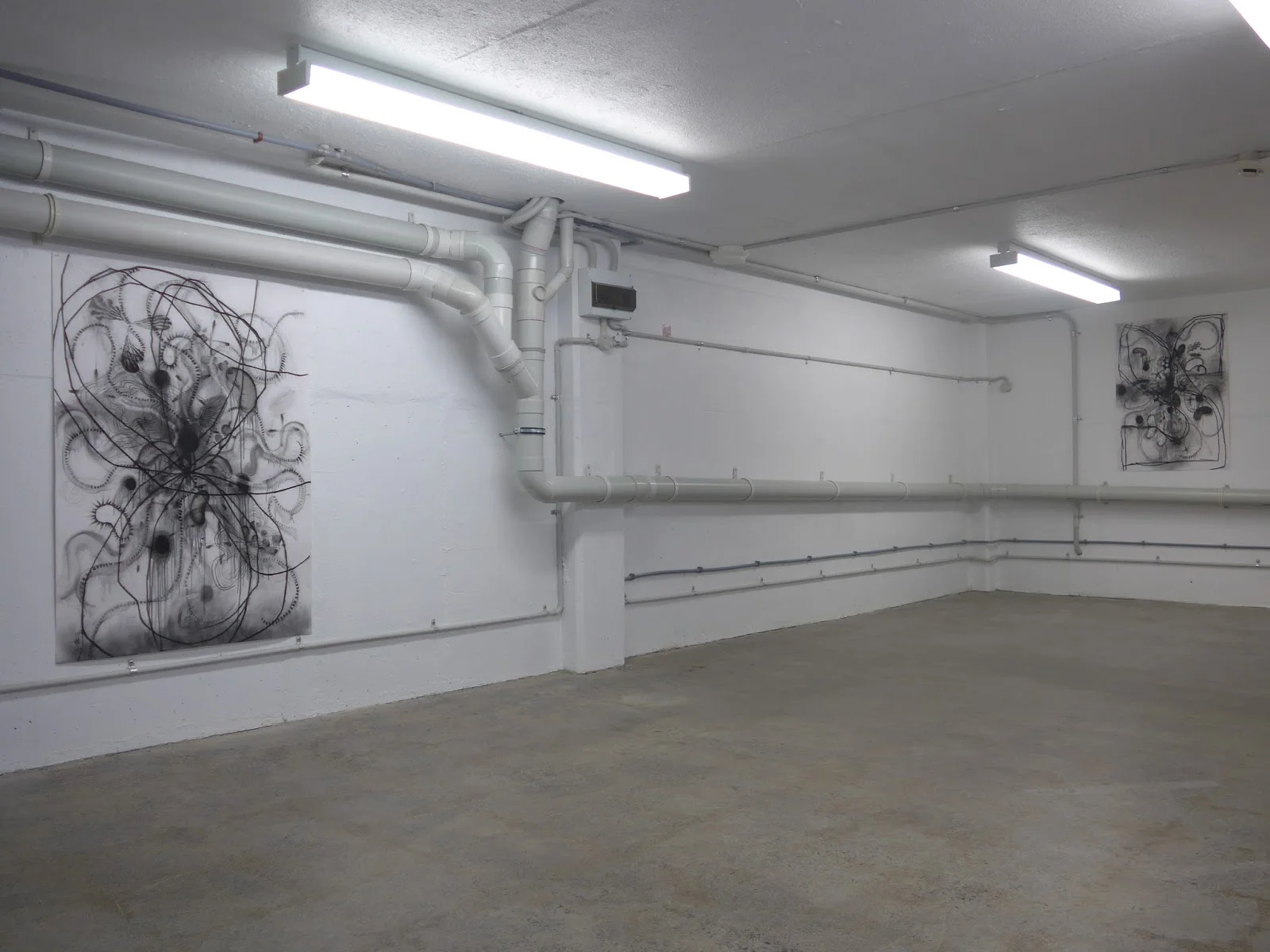 Study for cellar, The Glove Box, Oakland, New Zealand | 2015