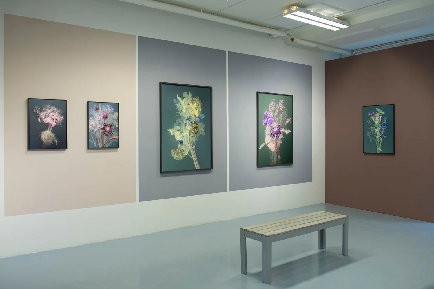 @ ARTIST FIRST! curated by FBP | 2018 
