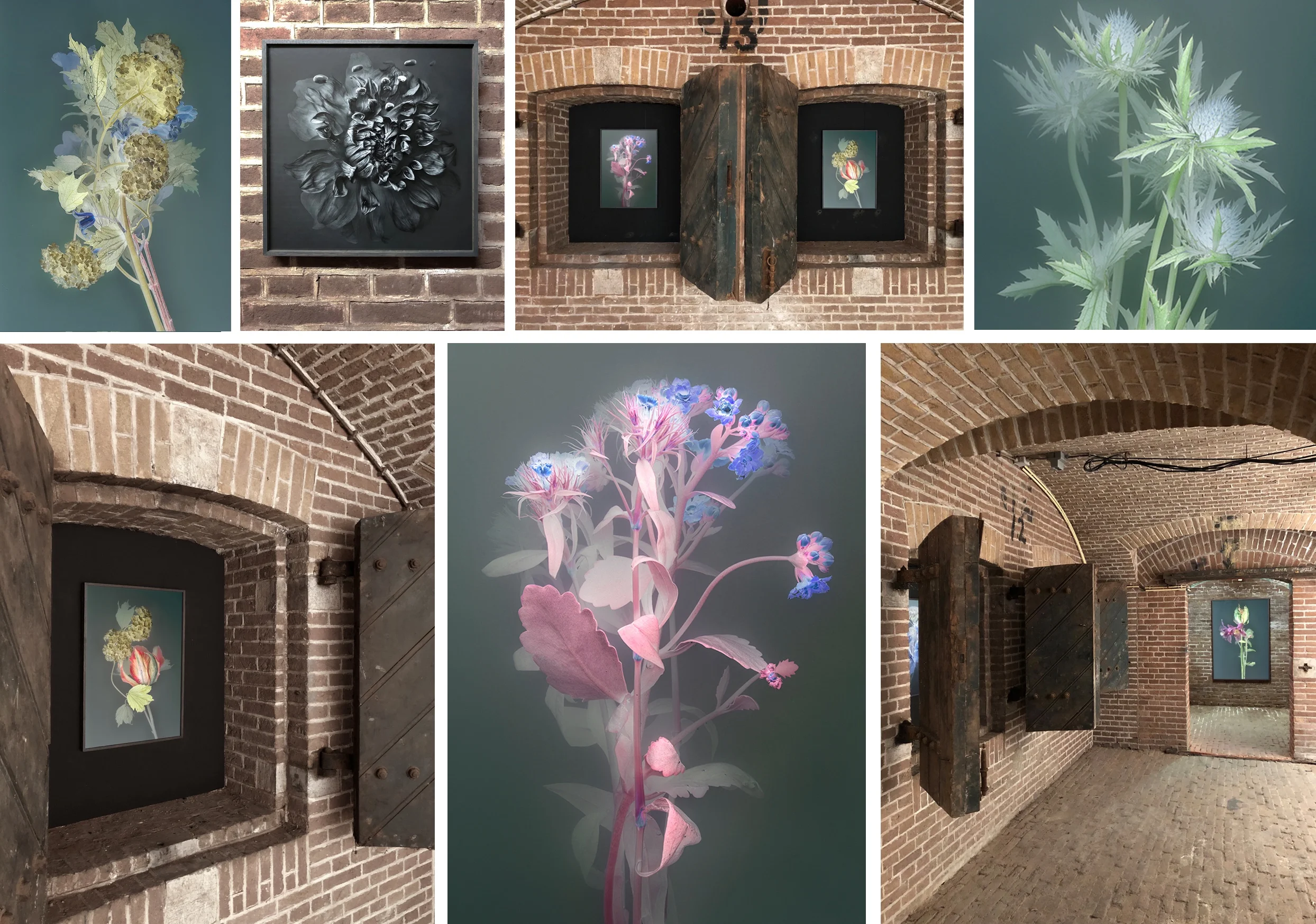 @ Fotofestival Naarden 2019
