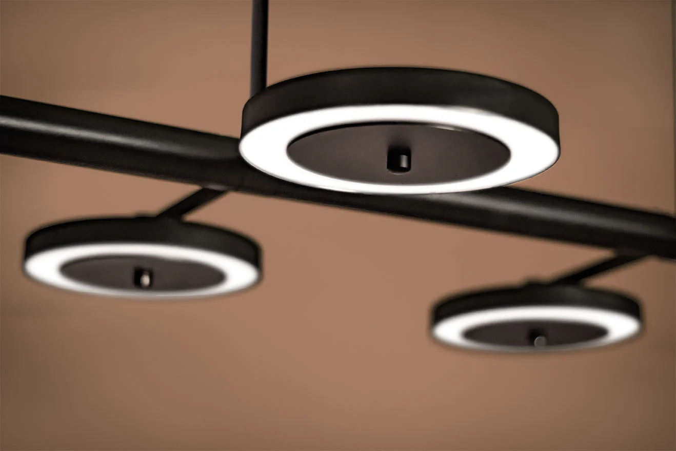 LaroseGuyon_LeRoyer_Chandelier_LightingFixture_02_02.jpg