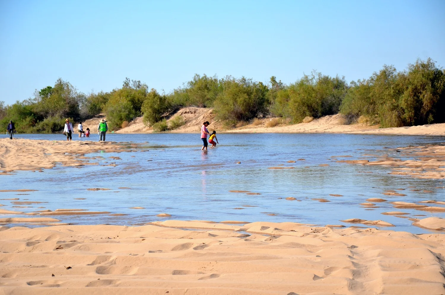Colorado River near San Luis Bridge