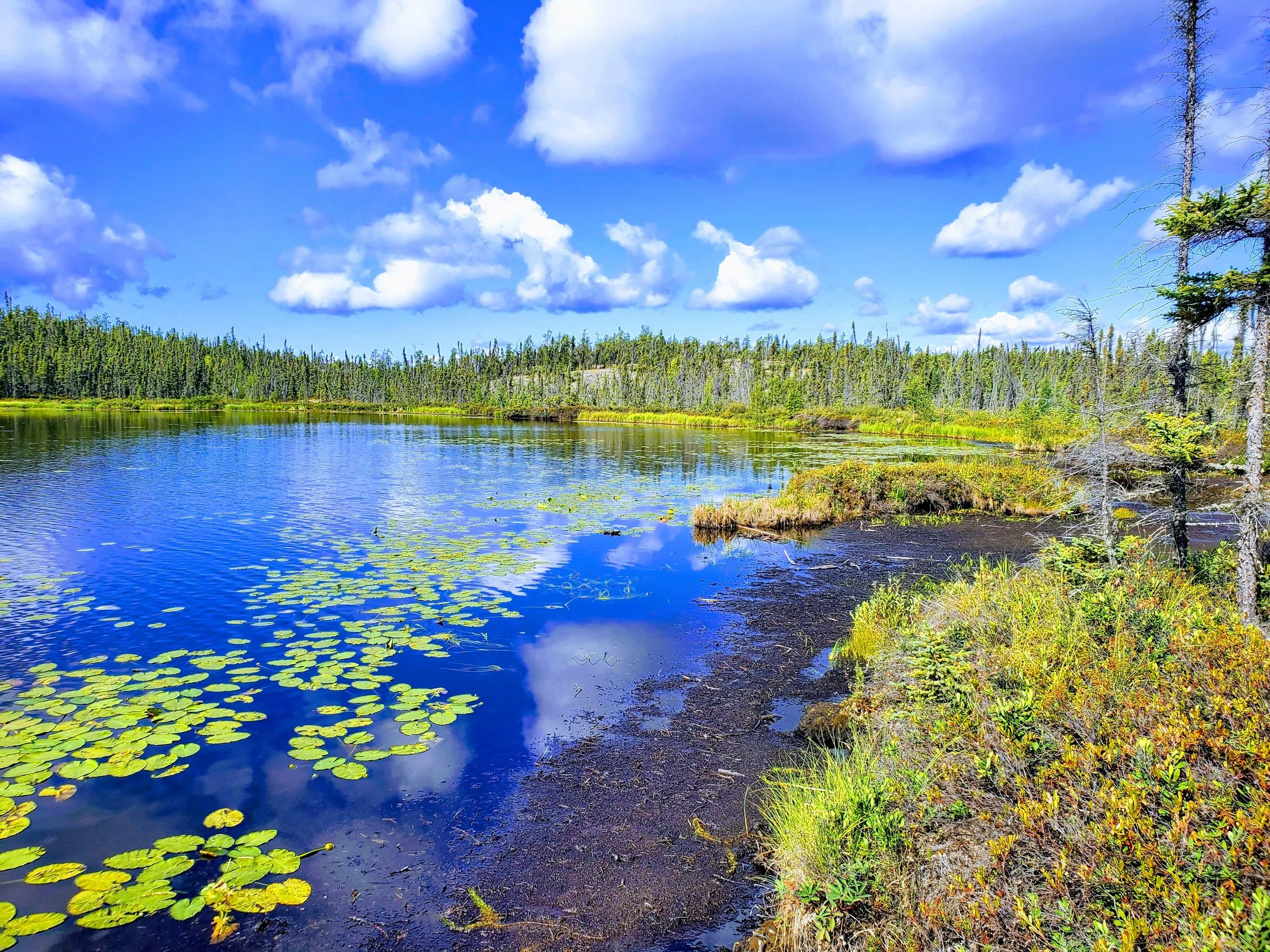 20190811_113626-EFFECTS.jpg