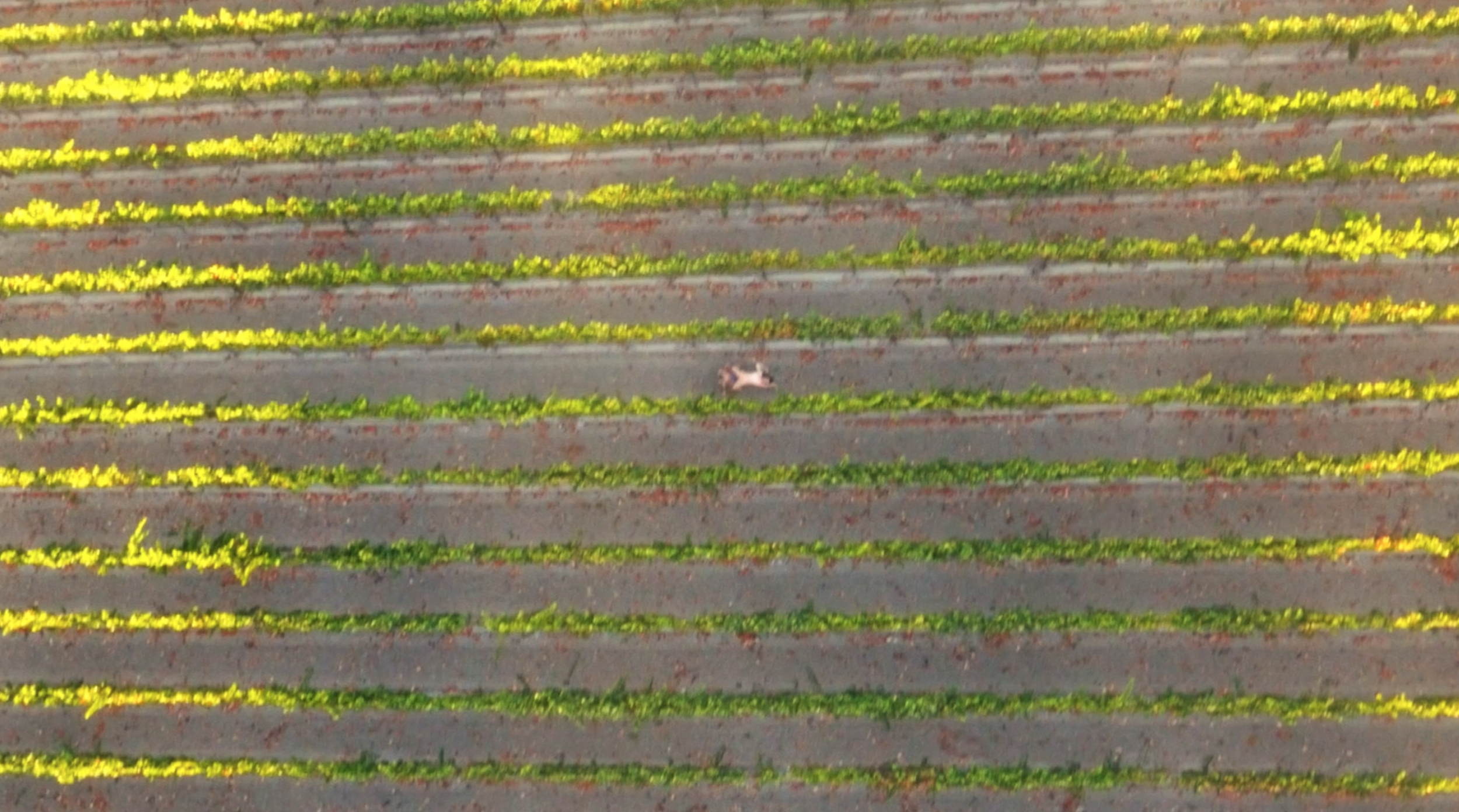 Screen Shot 2014-10-18 at 1.36.30 PM.png