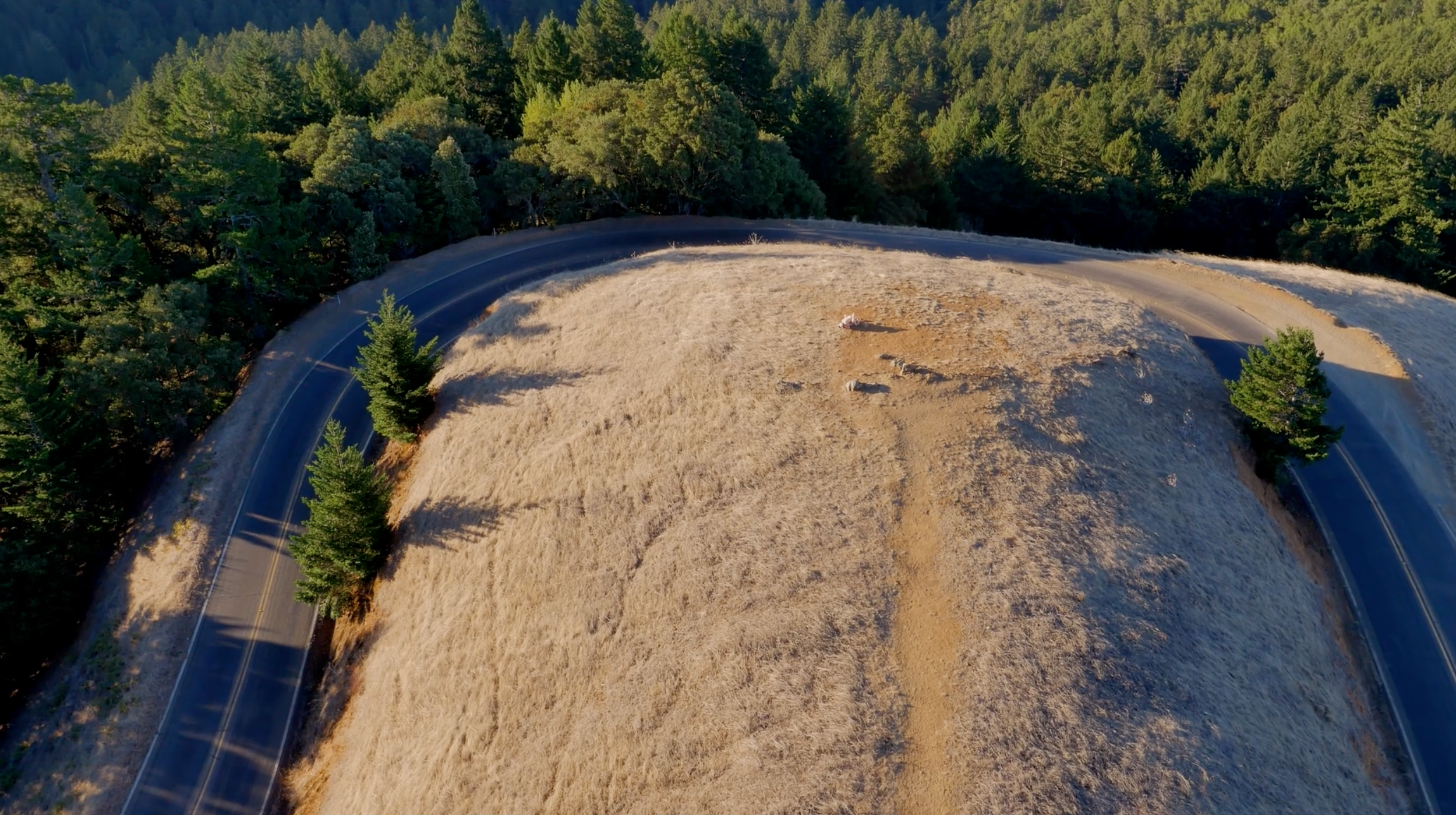 Screen Shot 2014-10-18 at 1.37.56 PM.png