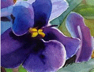 Poisoned Violets, Dancing & Gibberish....things love inspires!