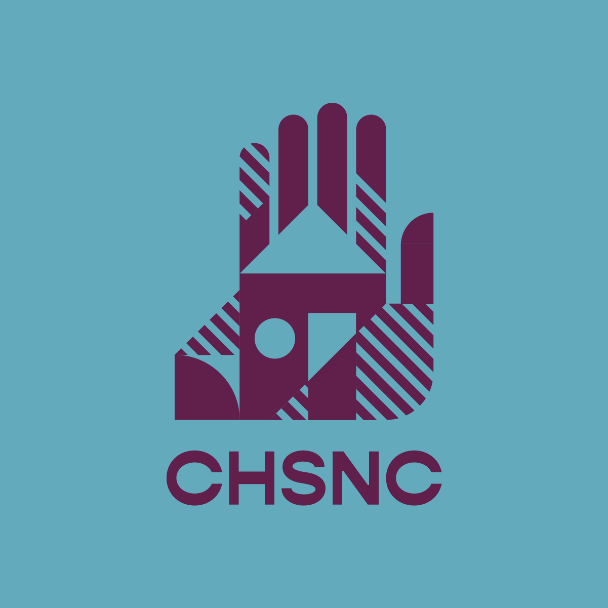 CHSNC-alt2.png