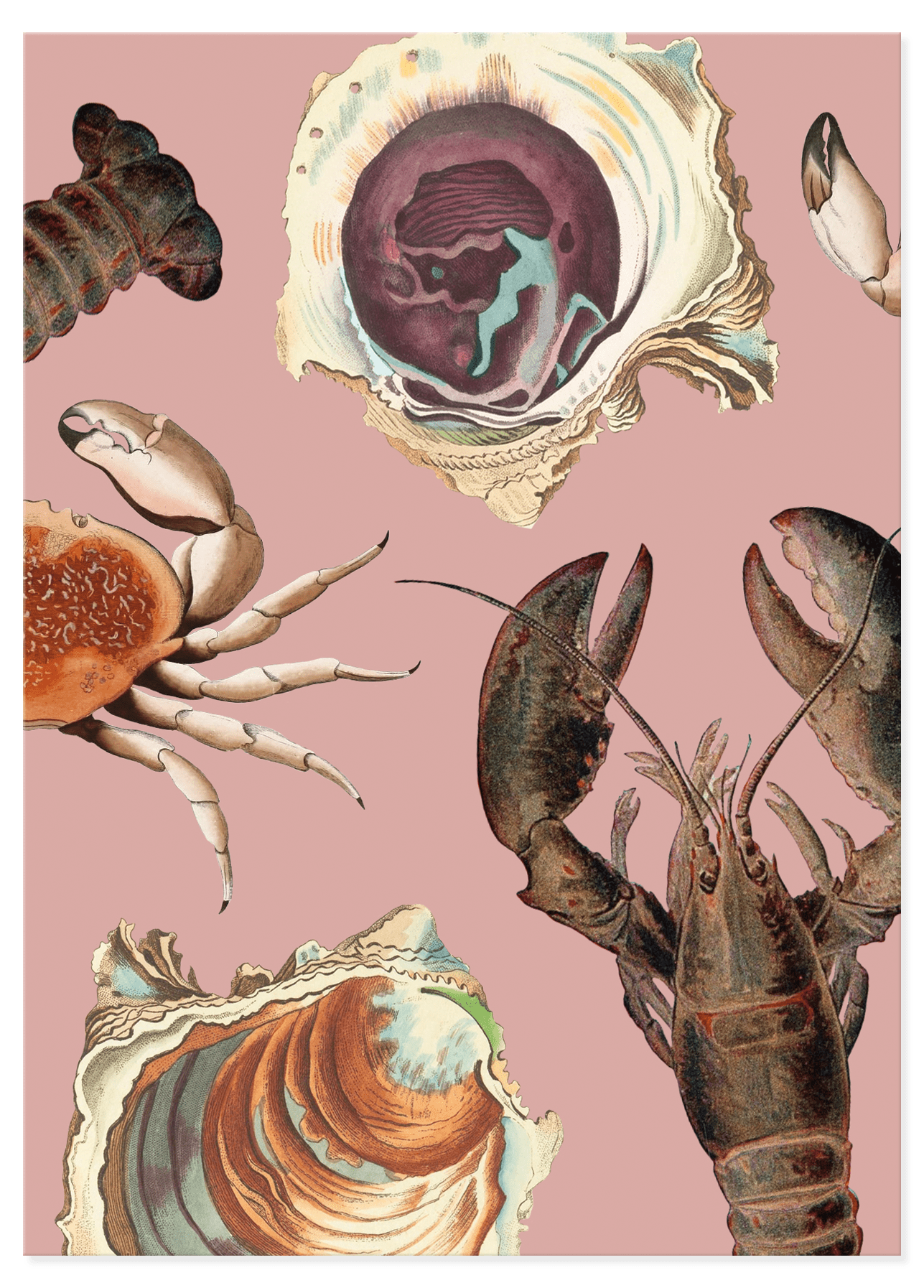 Standard-Portrait-Loyale2020-Crustaceans_F1 copy.png