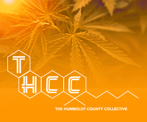 _THCC_webspecad_rectangle-300x250_flat2.gif