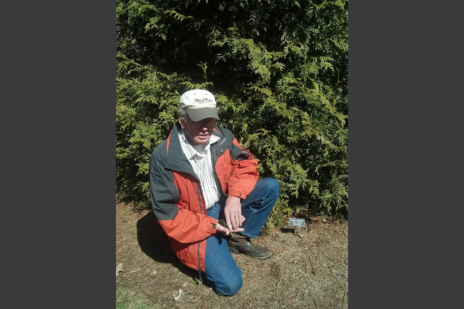 The Art of Planting Trees