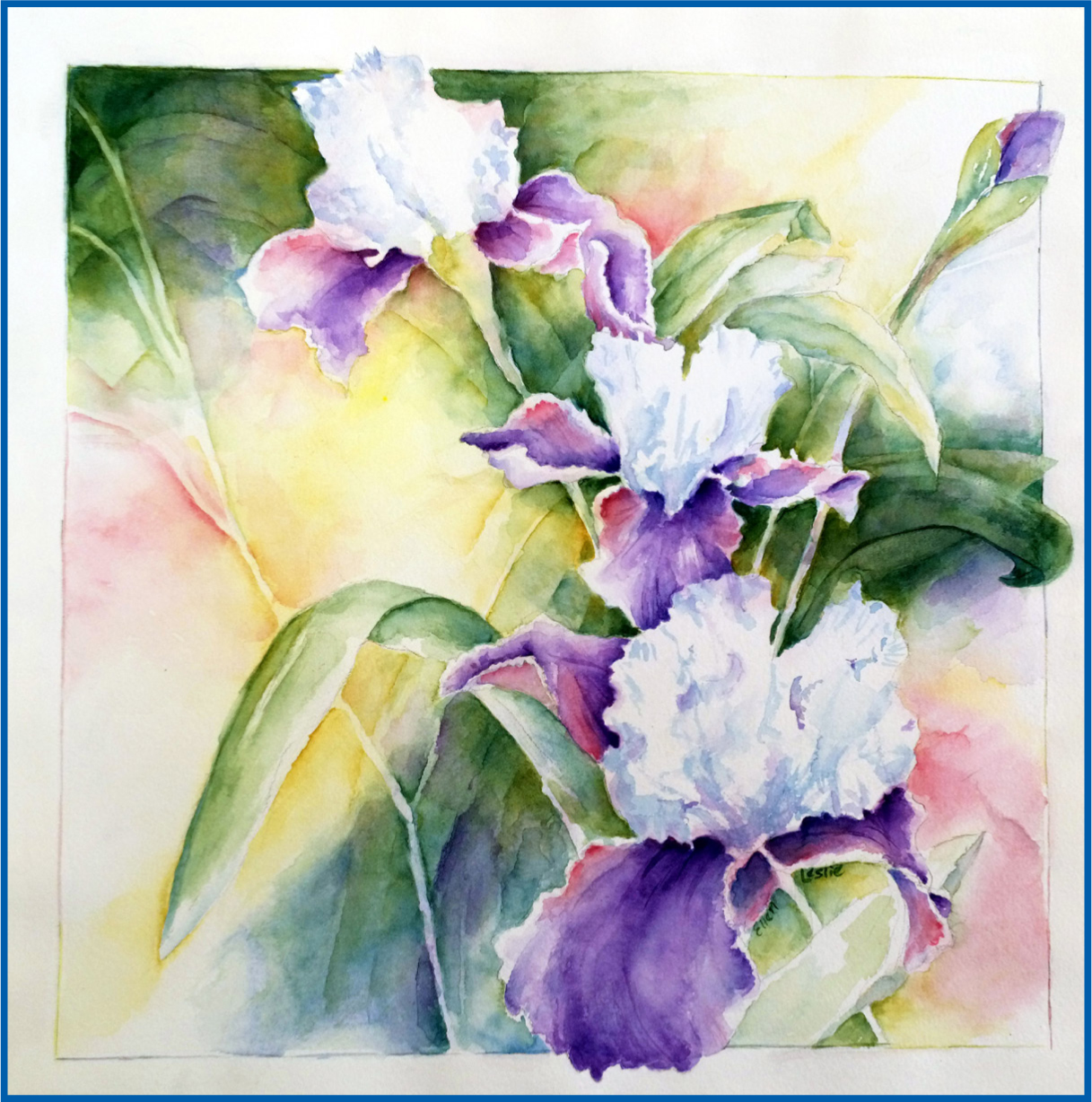 2016 BAC Garden Tour