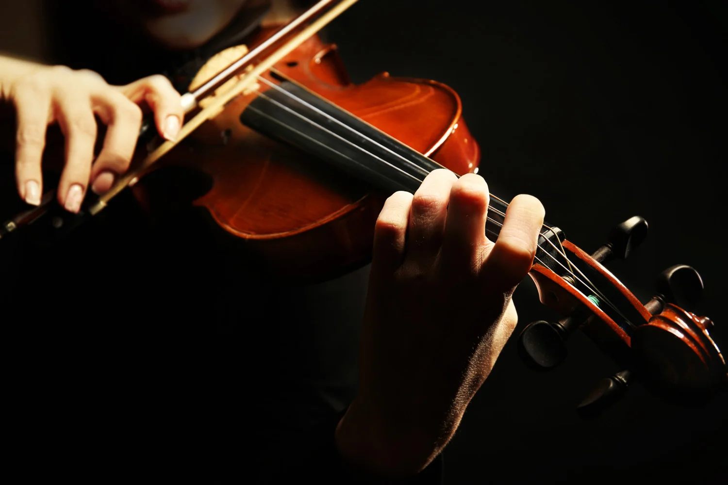 Tremolo String Quartet
