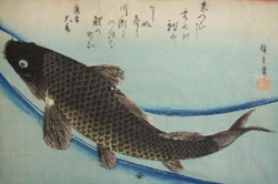 Website, Hokusai Coi, 200 x300.jpg