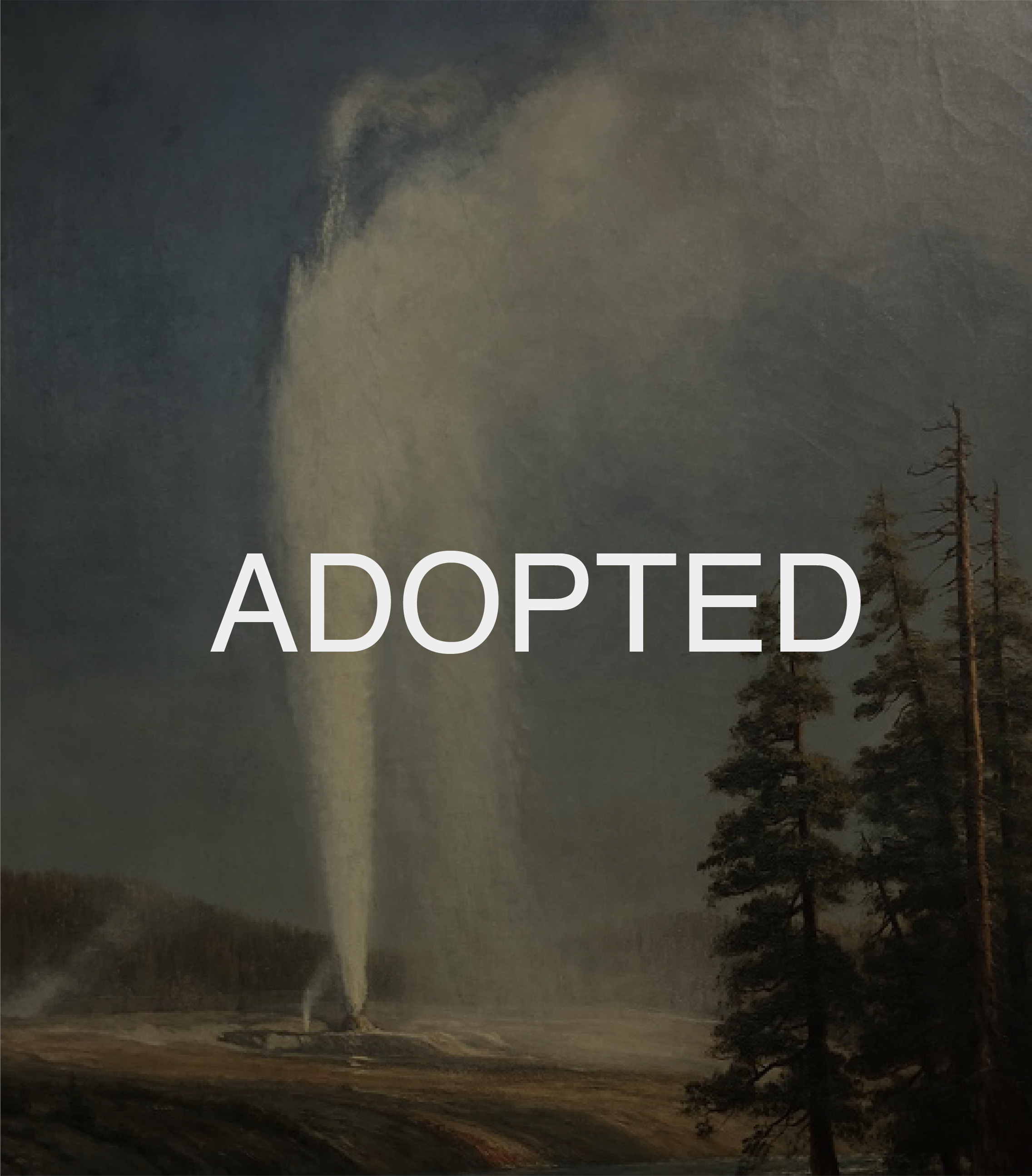 Adopted Bierdstadt-02.png