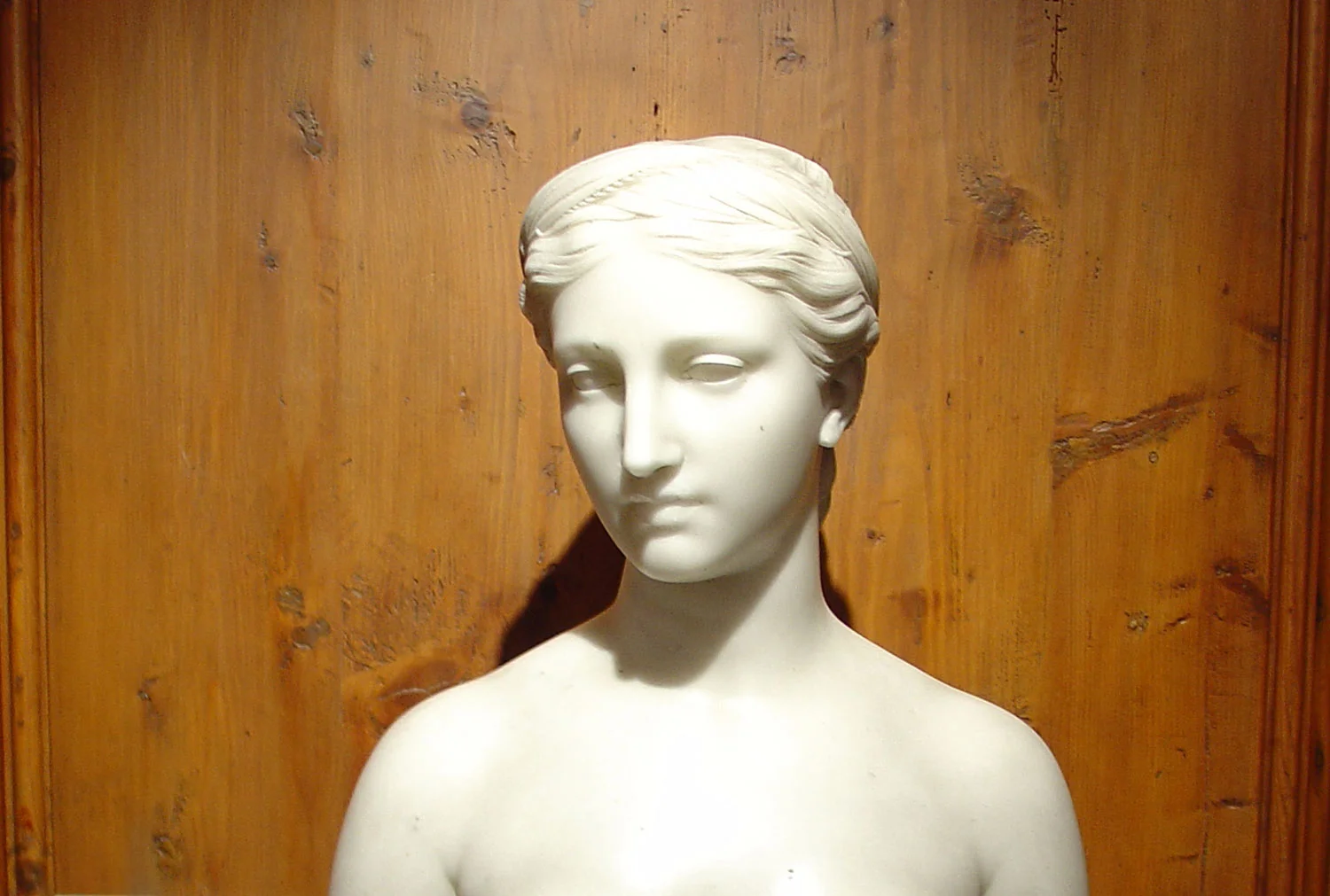 FREE DOCENT TOUR