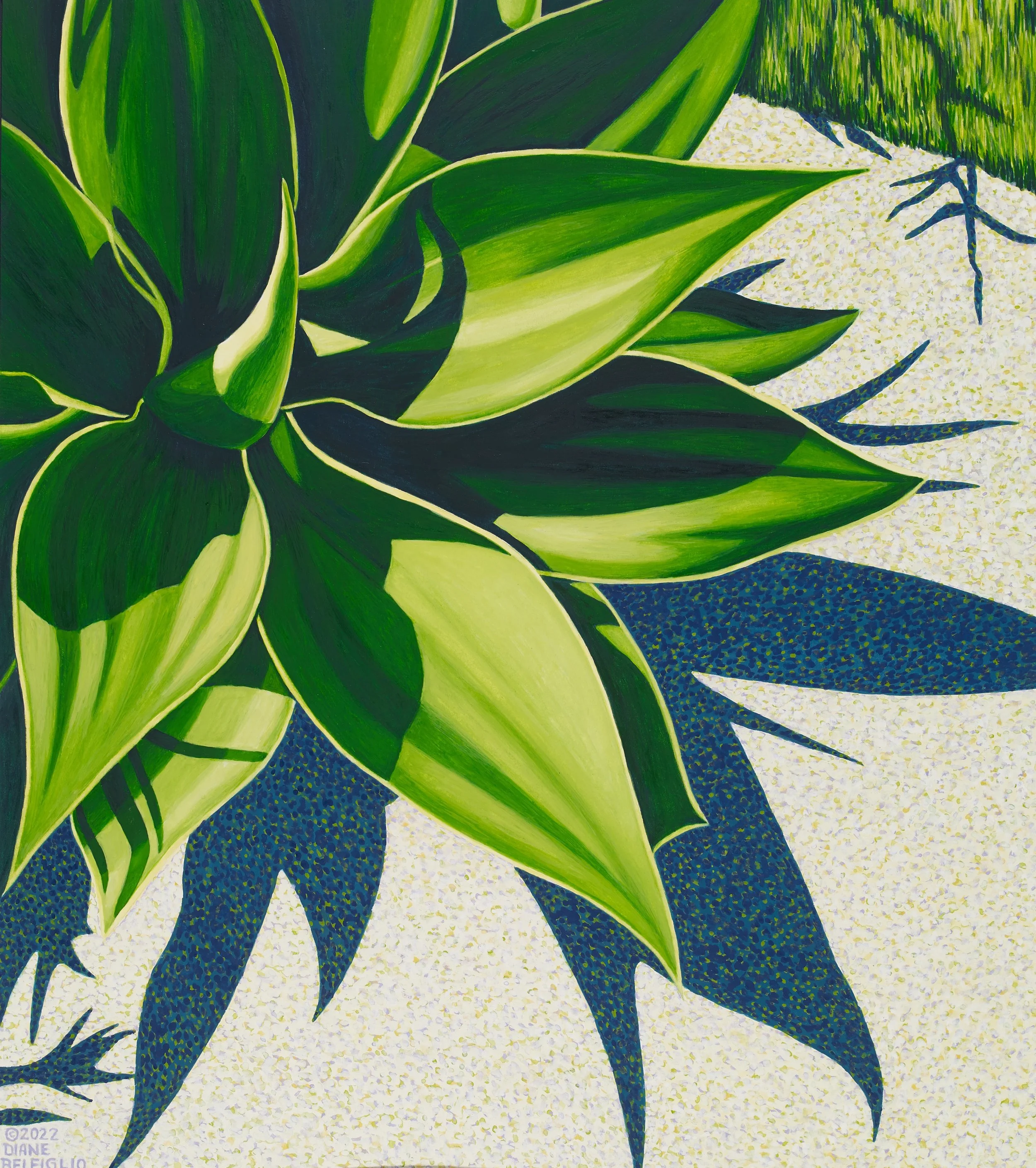 ZMA Puzzler!: Articulated Agave I by Diane Belfiglio