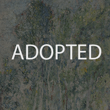 Adopted 'Landscape' Fauley-03.png