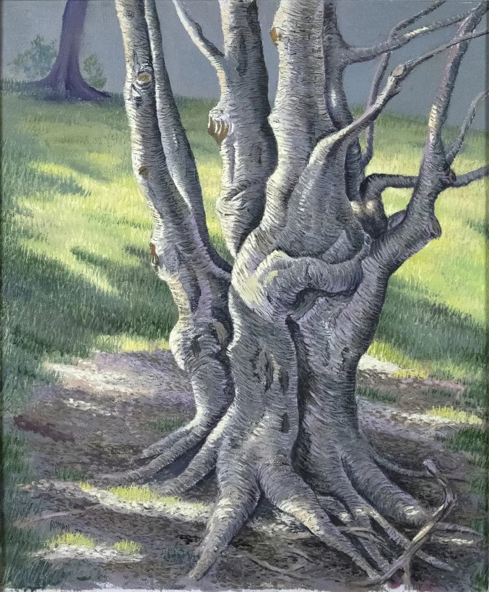 ZMA Puzzler! A Tree in a Landscape by Roman Johnson