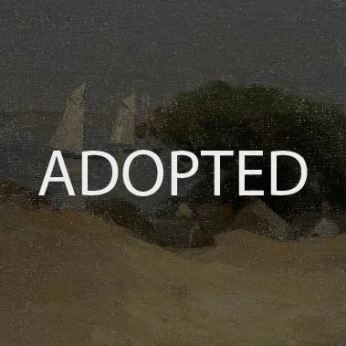 'Adopted' Shinnecock Hills.jpg