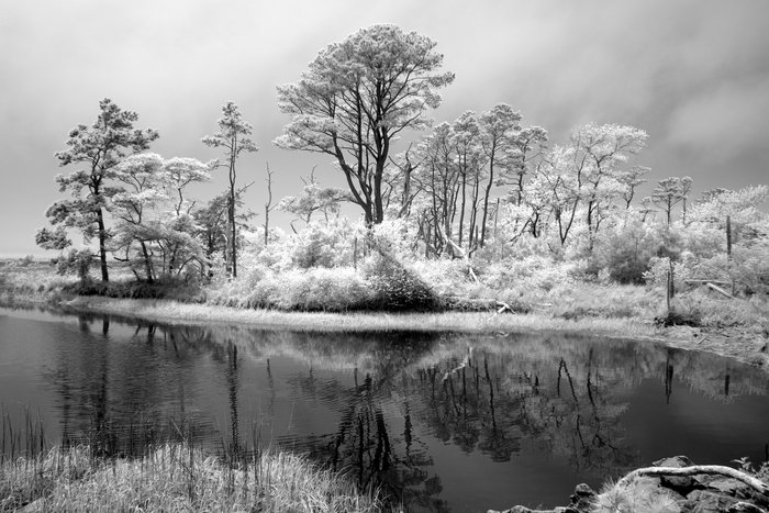 McIntyre Rod 7 Calm Bay.jpg