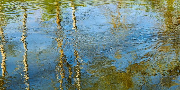 Ollis Karen 7 Dissolving.jpg