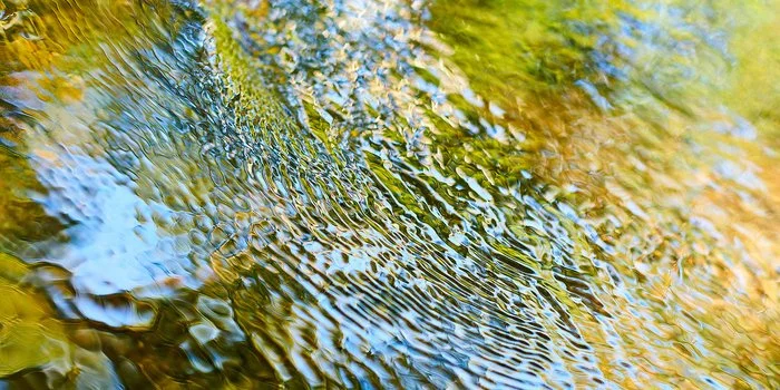 Ollis Karen 7 Ripple Effect.jpg