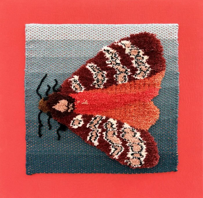 Redinger Nichole 8 Moth Study.jpg