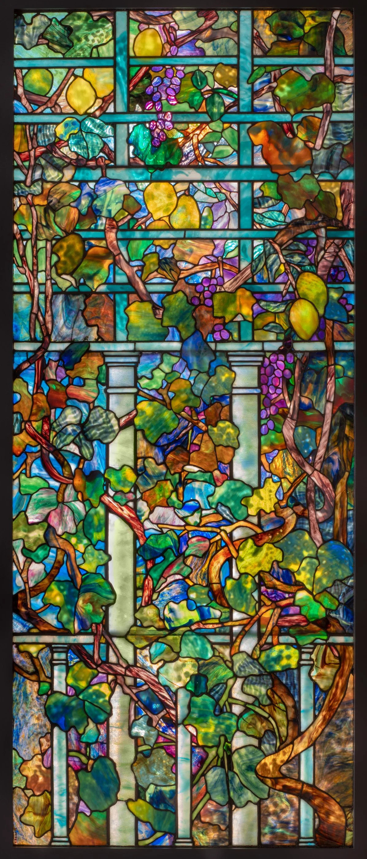 ZMA Puzzler!: Lemon Tree and Grape Vine with Trellis Window