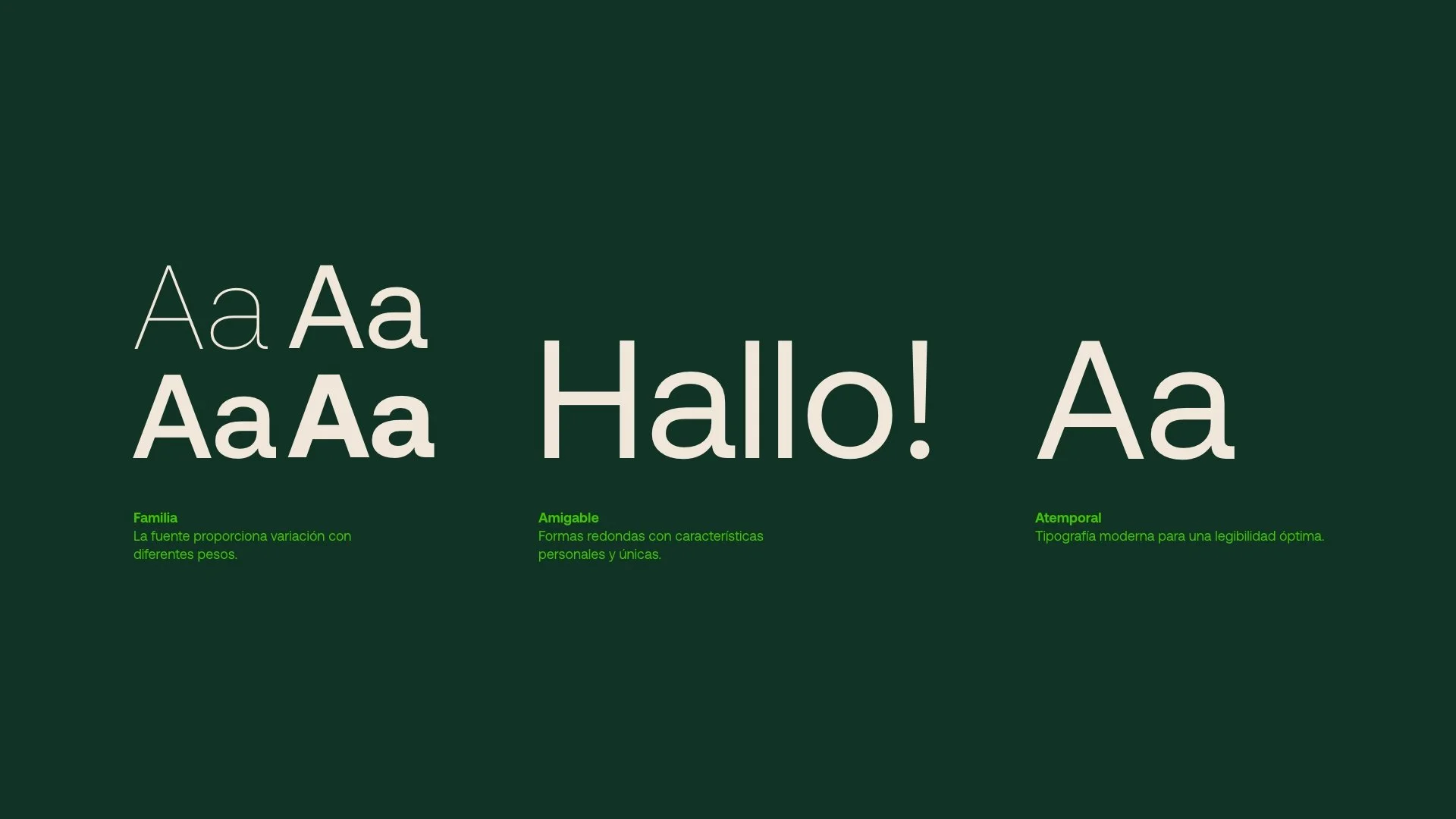 Web 1920 – 124.jpg