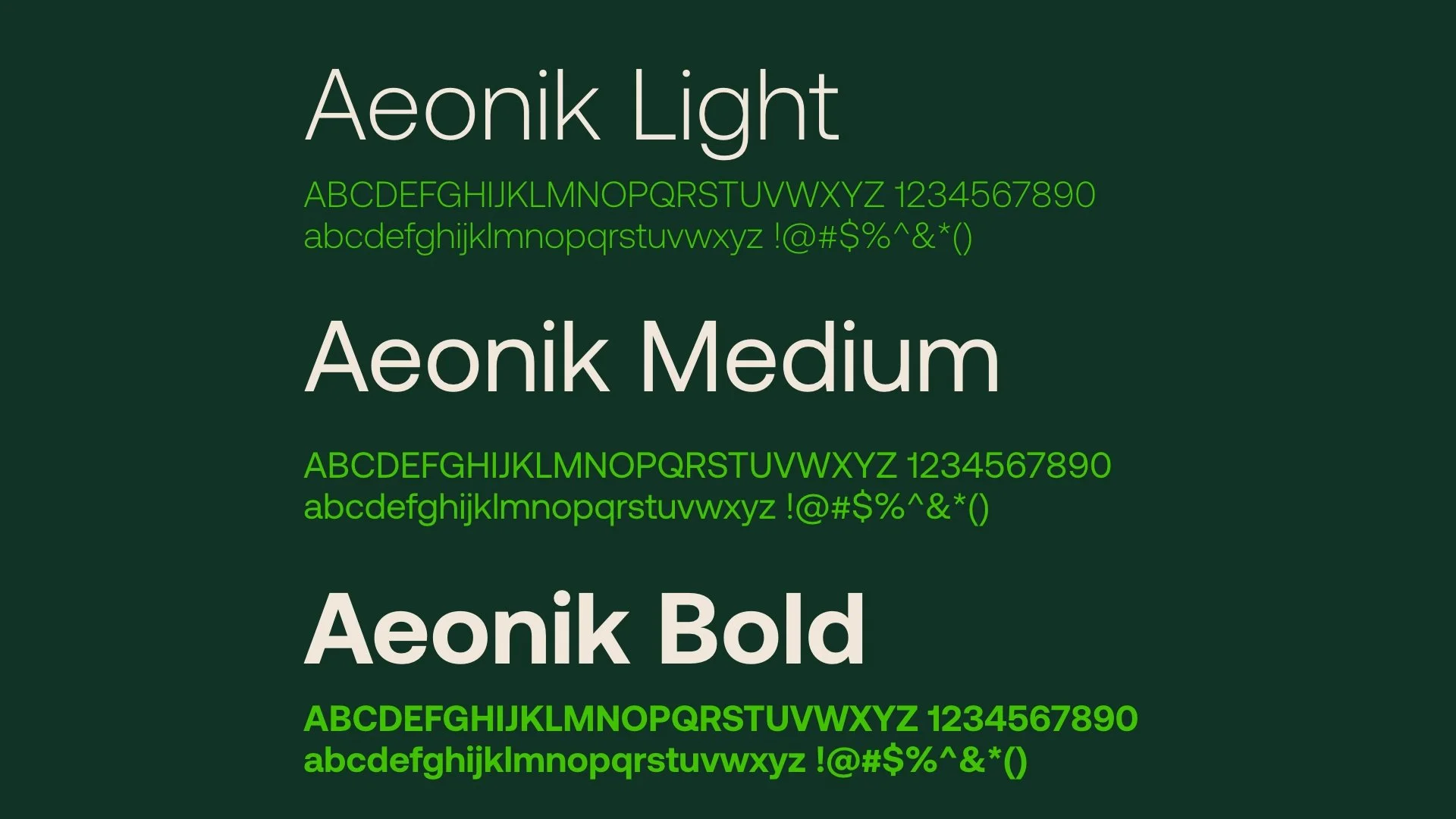 Web 1920 – 149.jpg