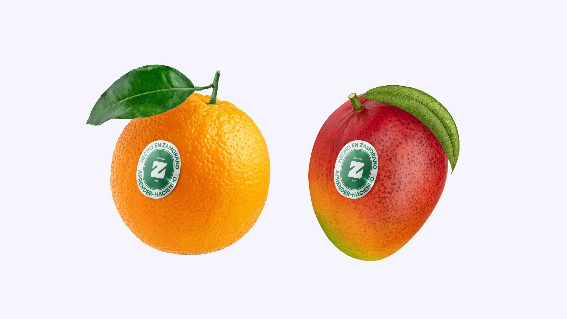 Web 1920 – 199.jpg