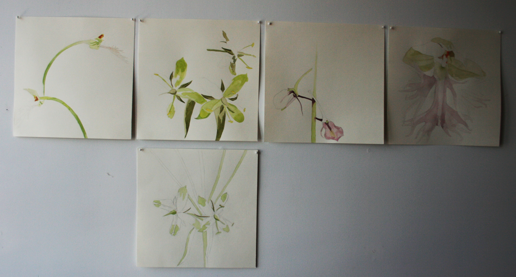 I create all the sketches in my bedroom and then when I am happy with the final product I put it on my wall for a week to make sure I am happy with it. From there I bring it down into the studio and start sketching out the final painting on the linen canvas. 