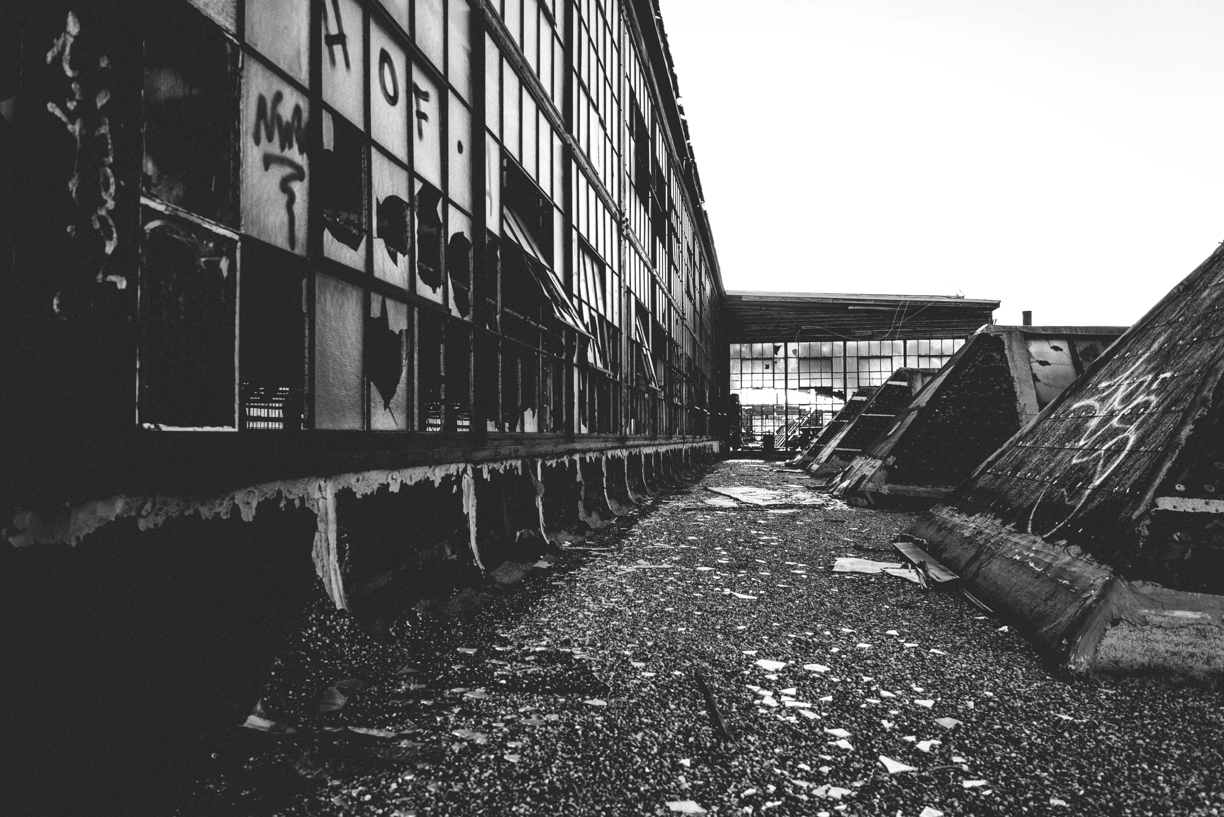 _NTP0773.jpg