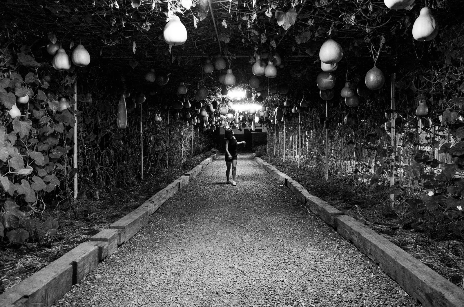 _R041466.jpg