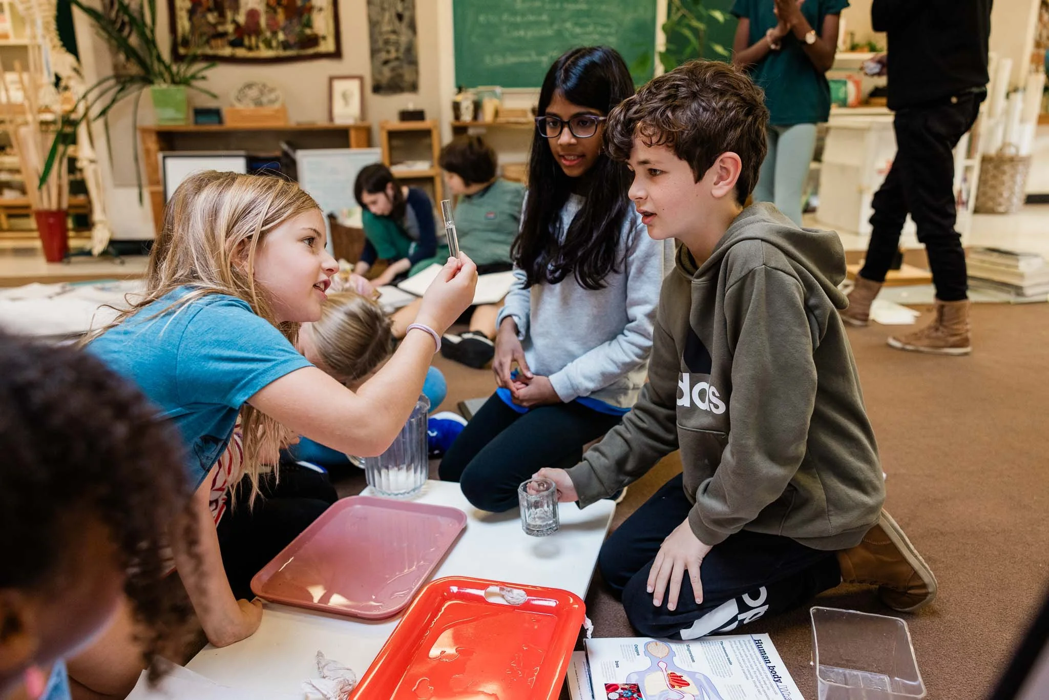 Pacific Crest School Seattle Montessori