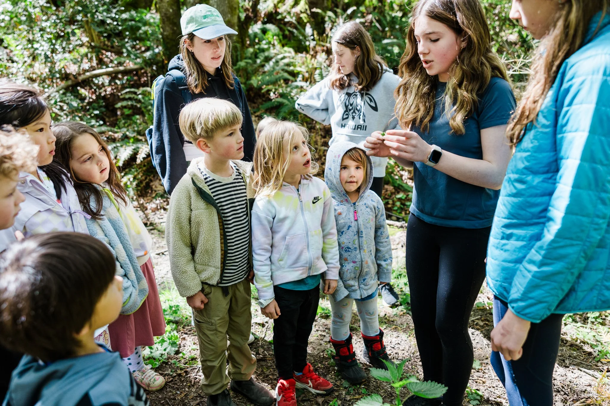 Enroll at Pacific Crest School Seattle Montessori Admissions