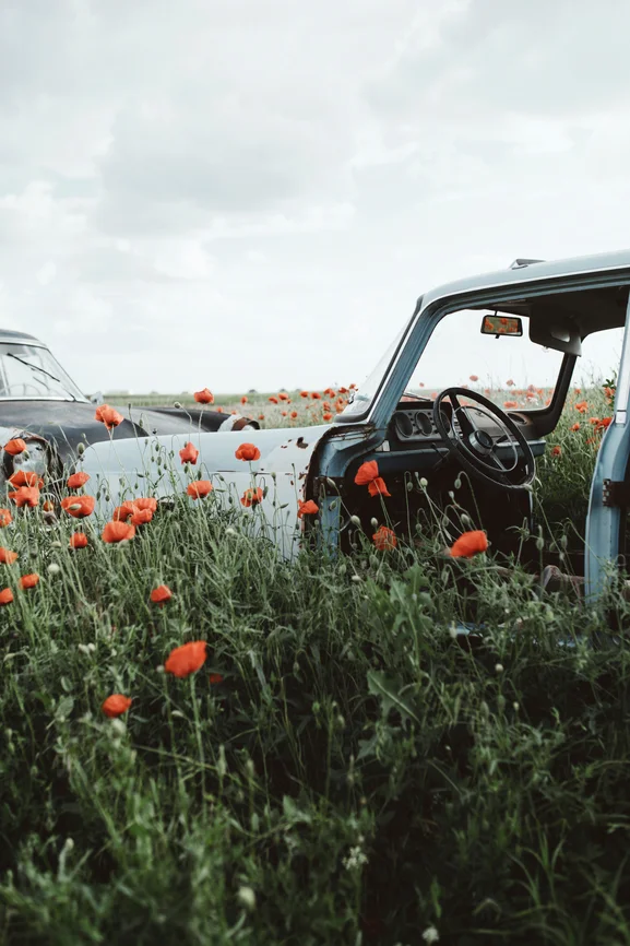 Sustainable Transportation 5 Eco Friendly Cars For A More Conscious Commute