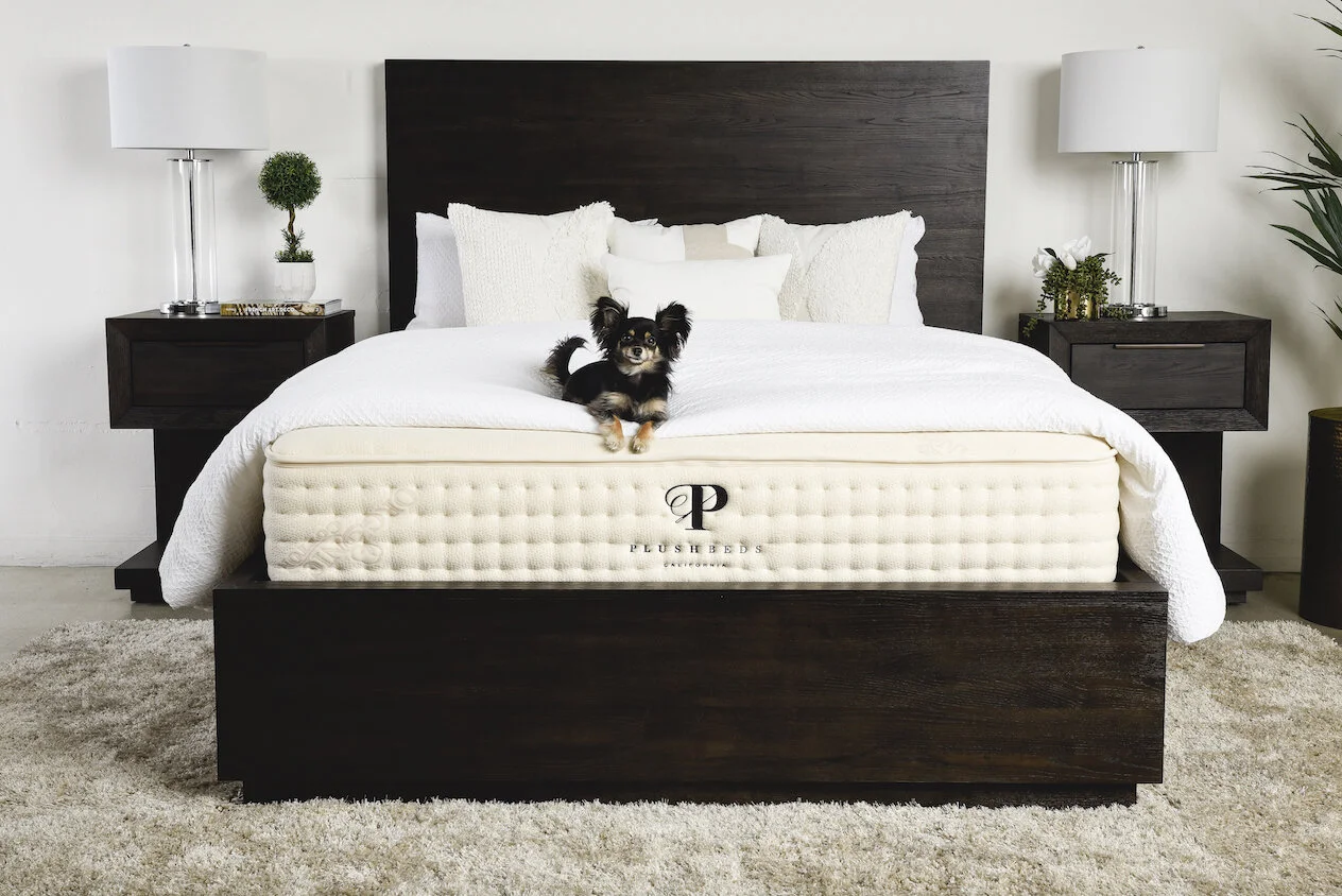 6 Eco Friendly Memory Foam Mattresses For Back Pain Relief