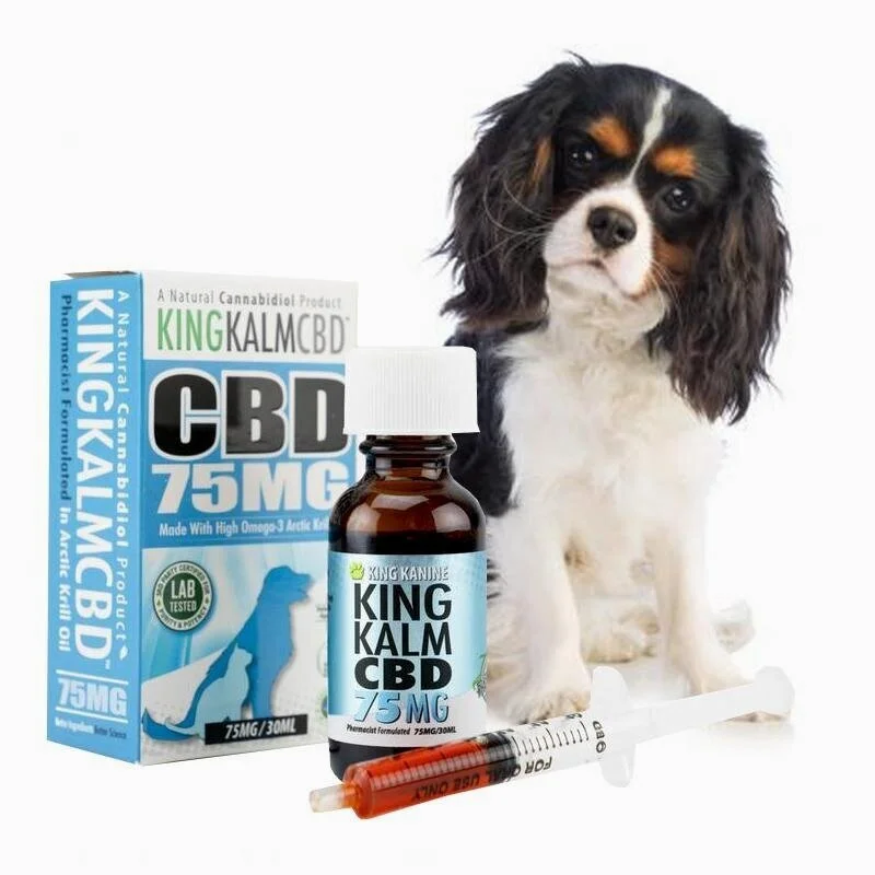 organic dog supplies