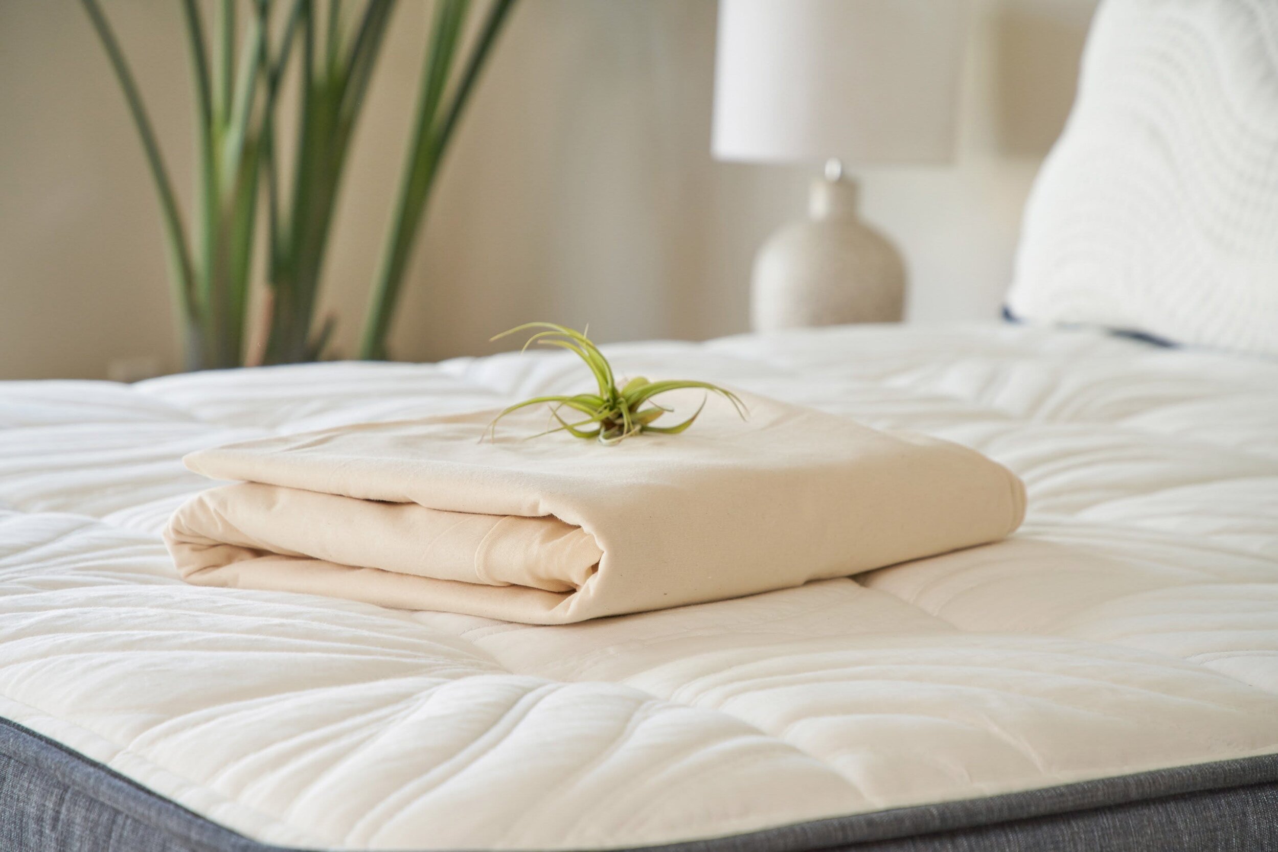 organic cot mattress protector