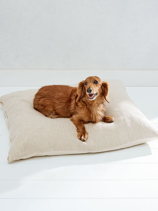10 Sustainably Made Pet Beds For Dogs, King Bed With Doggie Insert