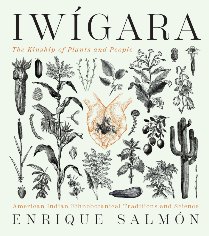 Books On Natural Remedies - Iwigara - Enrique Salmon.png
