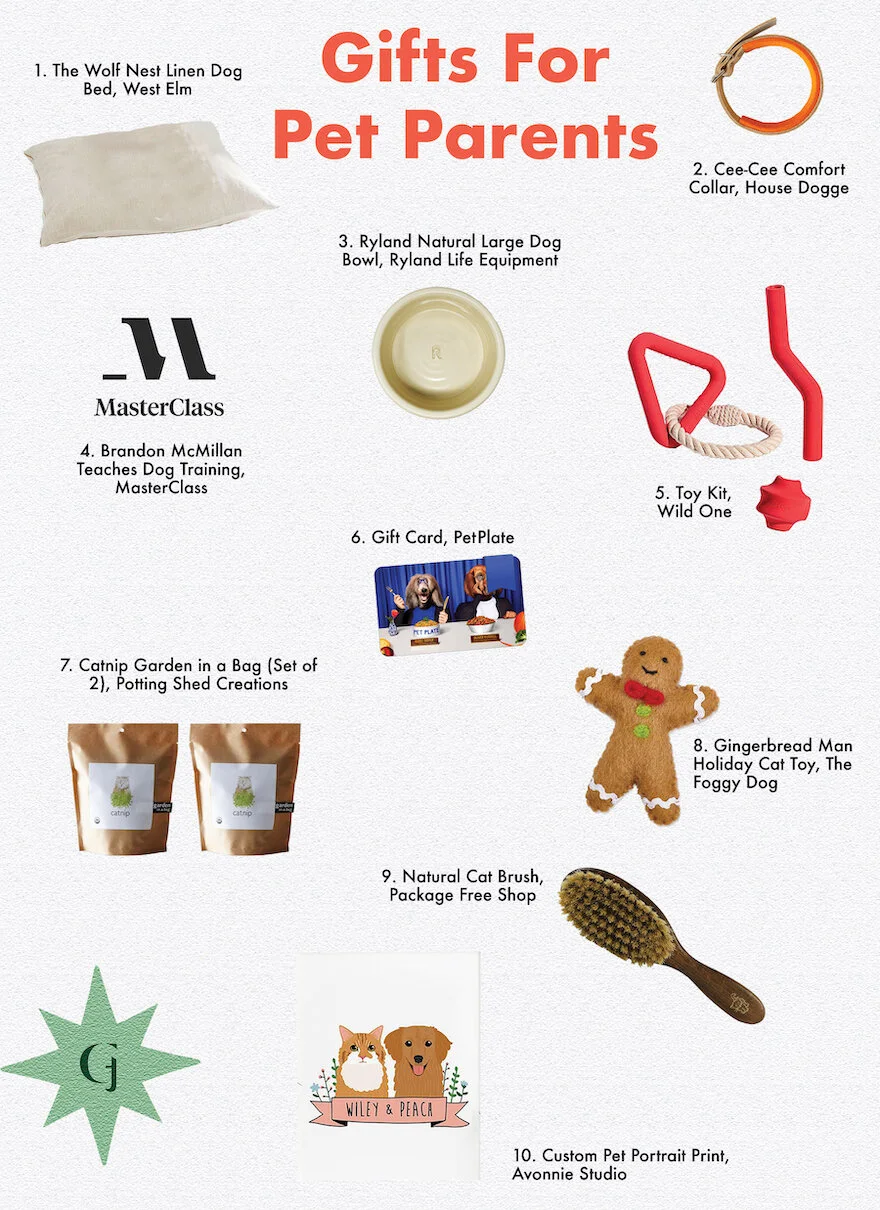 10 Eco Friendly Gifts For Pet Parents