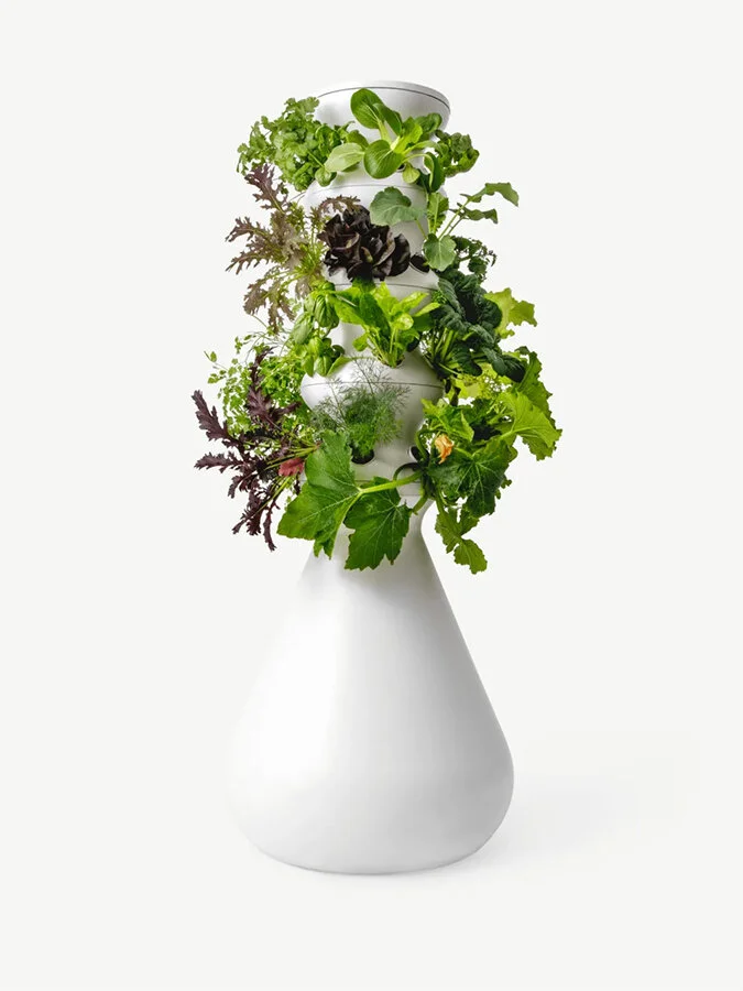 vertical-gardens-lettuce-grow