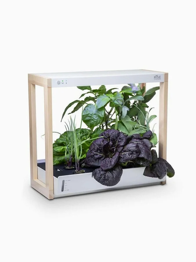 vertical-gardens-rise-gardens