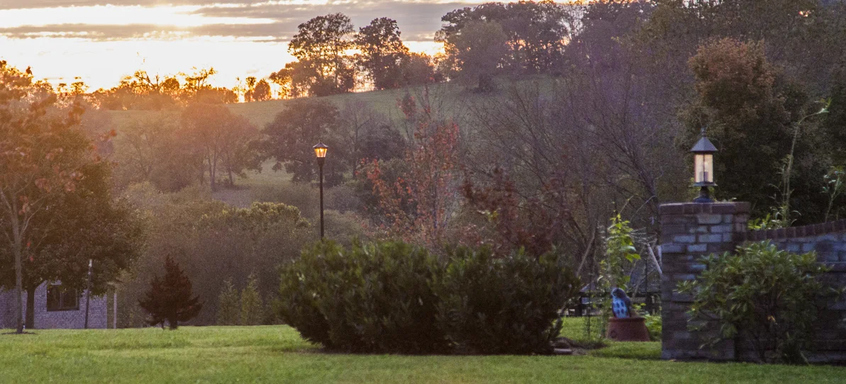 belle_chase_farms___0001_Layer 16.jpg