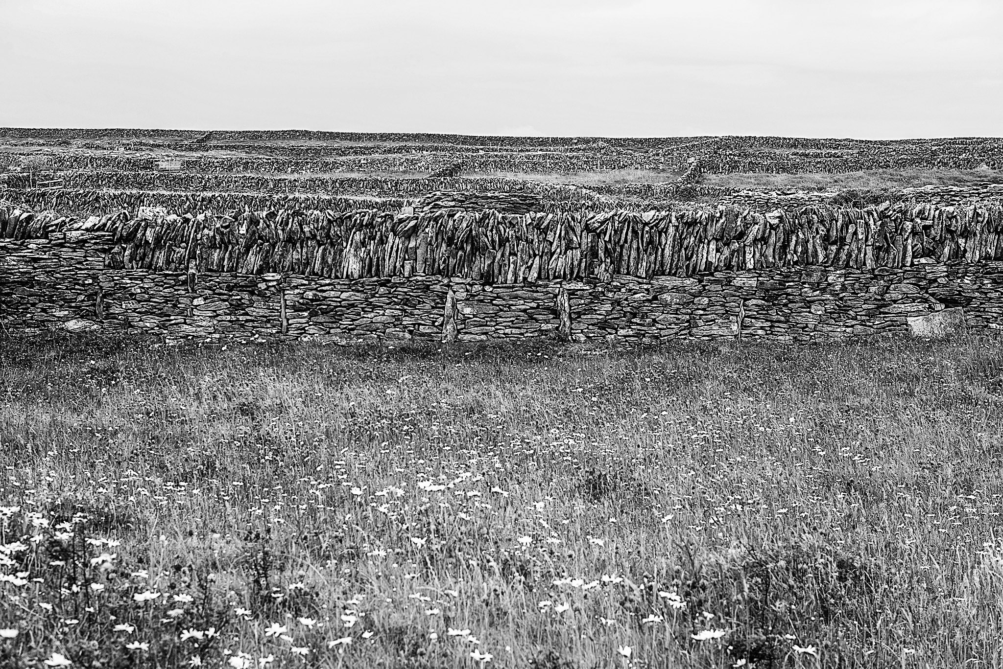 DSC_6079.jpg