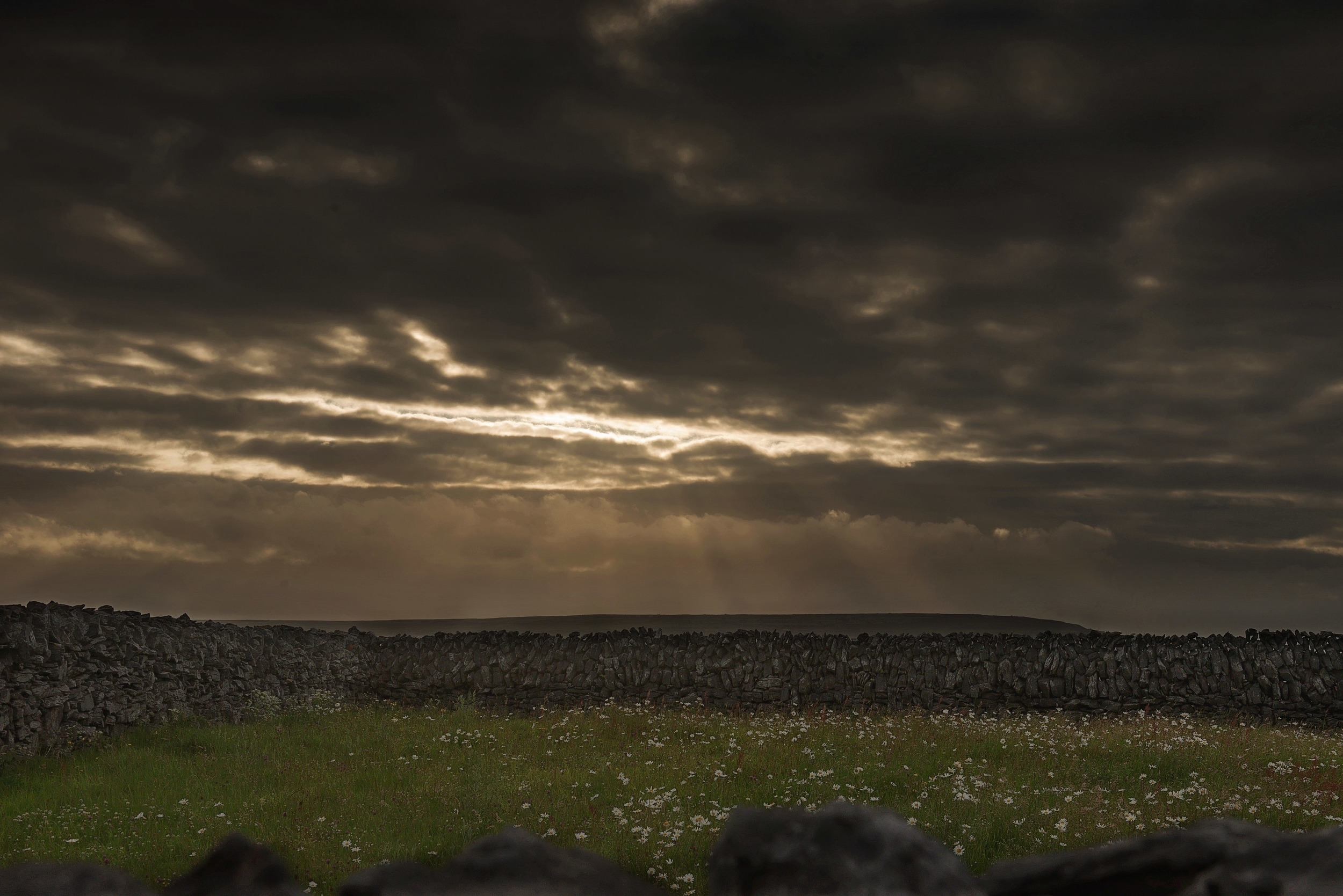 DSC_6089.jpg